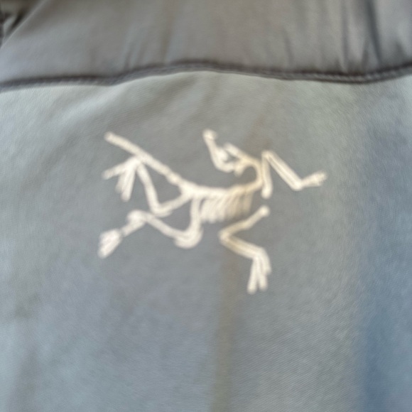 Arc'teryx Proton LT Hoody - Picture 7 of 16